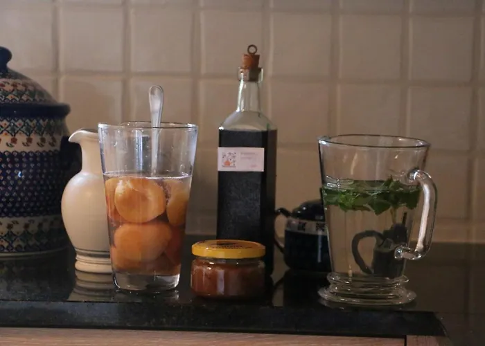 팜스테이 Pszczelarnia Dom Pracy Tworczej *