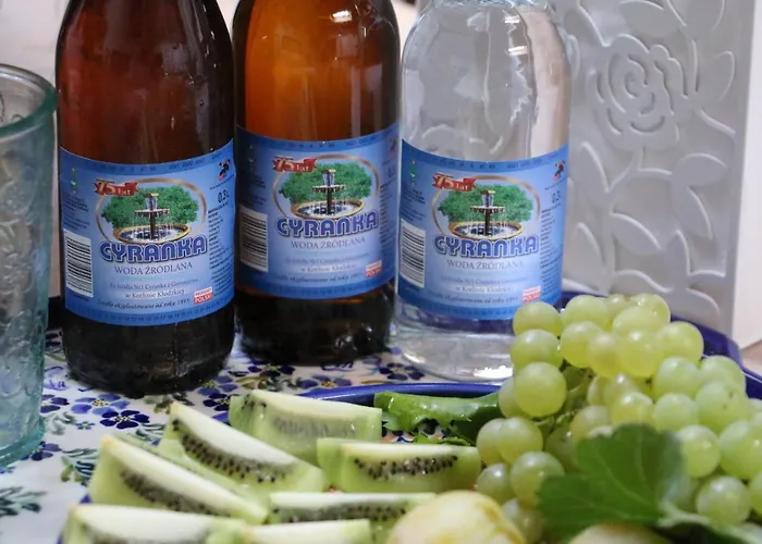 팜스테이 Pszczelarnia Dom Pracy Tworczej Wilkanow